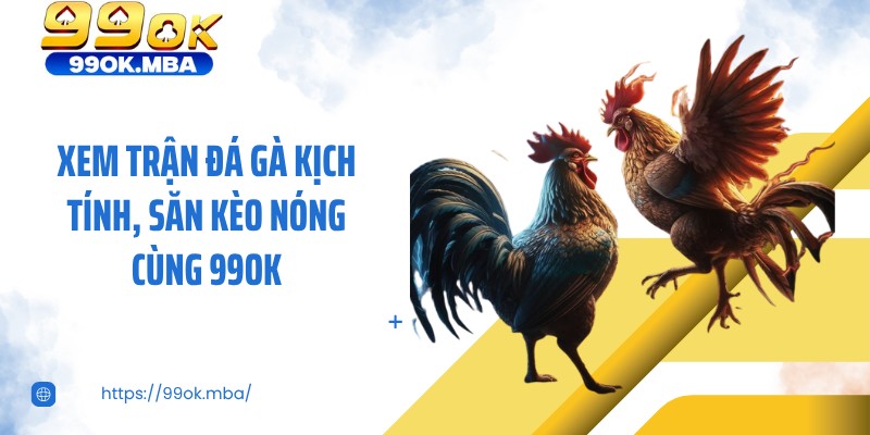 Xem trận đá gà kịch tính, săn kèo nóng cùng 99OK